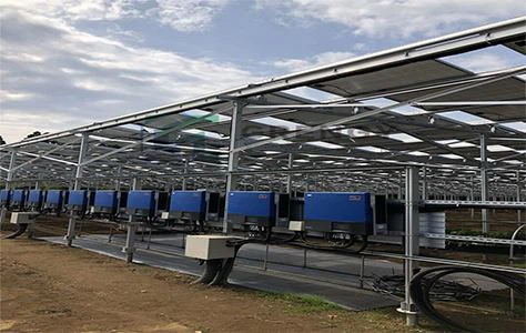 Agricultural PV System dhau los ua Kev Lag Luam Ntiaj Teb