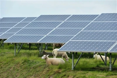 Agrivoltaics Tswj lossis Txhim Kho Cov Khoom Noj Zoo, Kev Tshawb Nrhiav