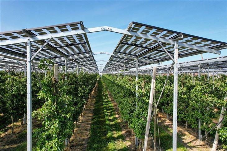 Optimized Solar Mounting Structures For Dual-Use Farming price