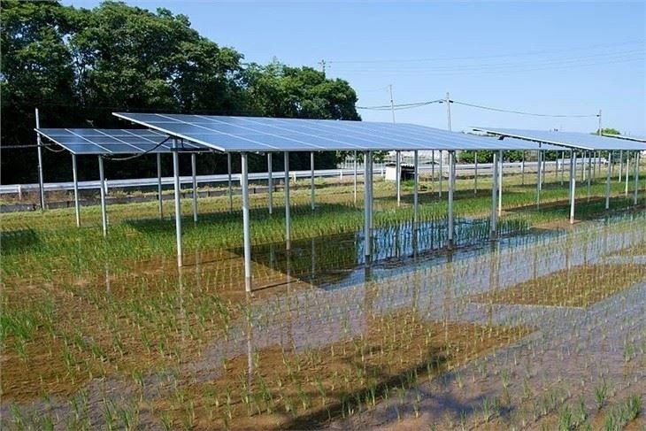 Solar Mounting Systems For Agriculture price